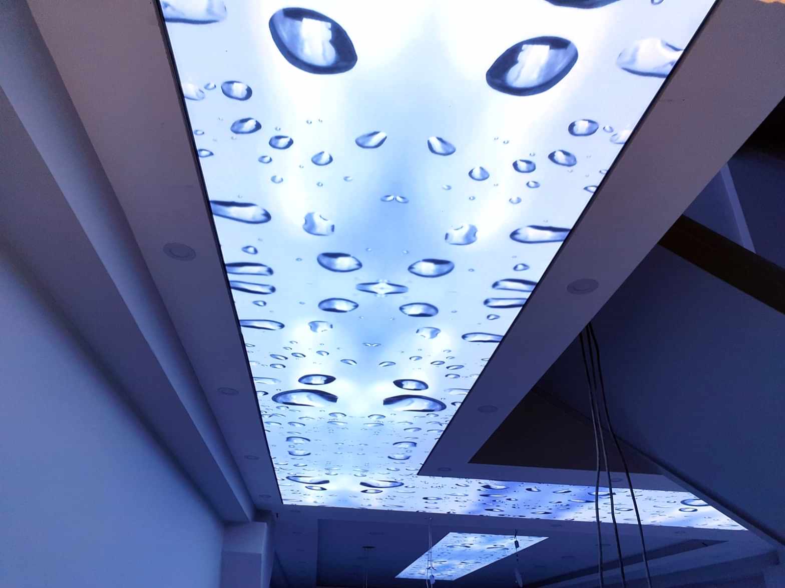 - Diğer Referanslar