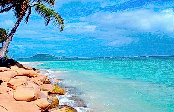 - Diğer Referanslar