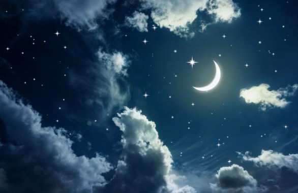 - Diğer Referanslar