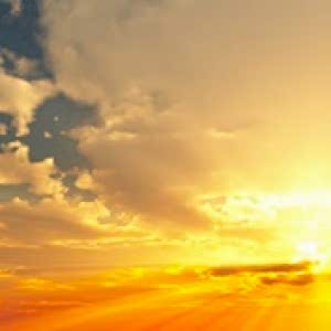 - Diğer Referanslar