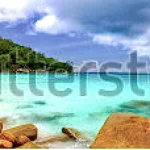 - Diğer Referanslar