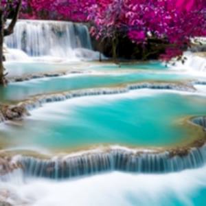 - Diğer Referanslar