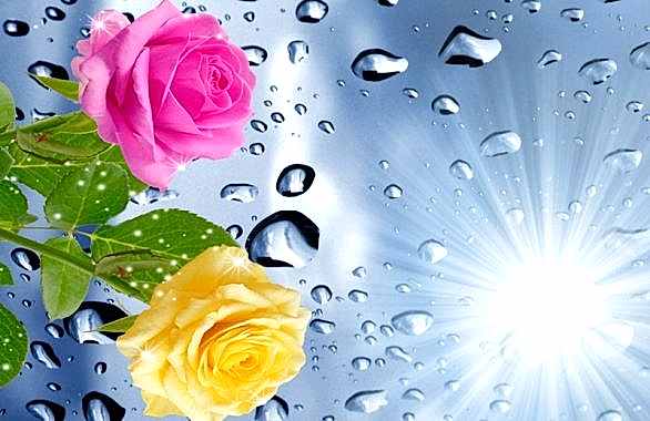 - Diğer Referanslar