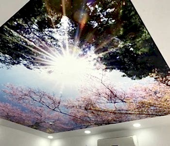 Gergi Tavan Dijital Baskı Projeleri