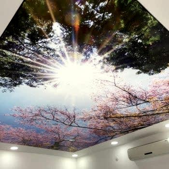 Gergi Tavan Dijital Baskı Projeleri