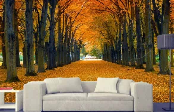 - Diğer Referanslar