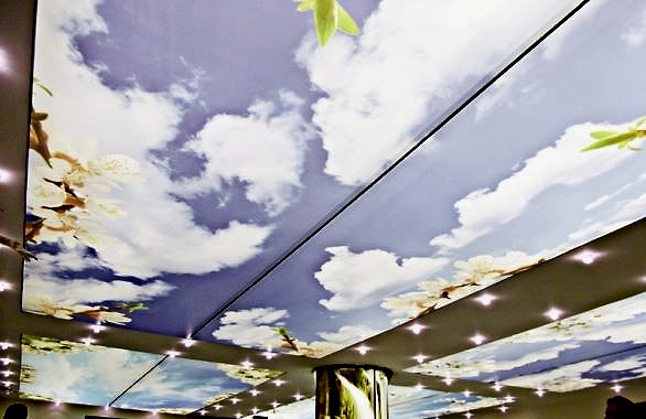 - Diğer Referanslar