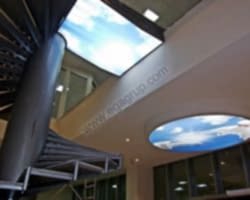 - Diğer Referanslar