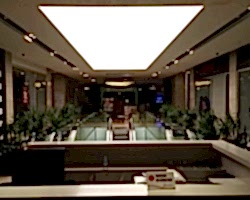 - Diğer Referanslar