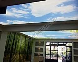 - Diğer Referanslar