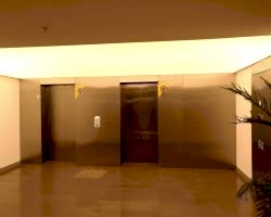 - Diğer Referanslar