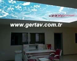 - Diğer Referanslar