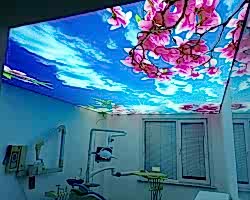 - Diğer Referanslar