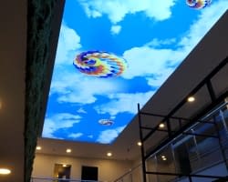 - Diğer Referanslar