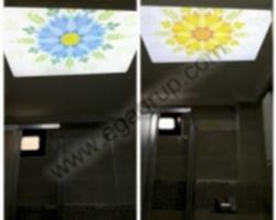 - Diğer Referanslar