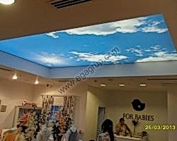 - Diğer Referanslar