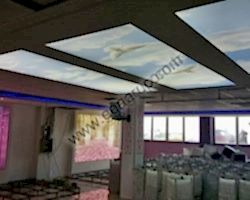 - Diğer Referanslar