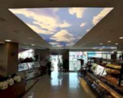 - Diğer Referanslar