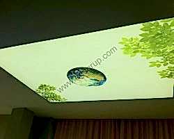 - Diğer Referanslar