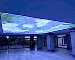 - Diğer Referanslar