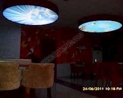 - Diğer Referanslar