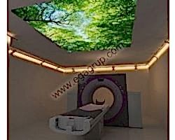 - Diğer Referanslar