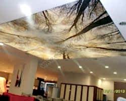 - Diğer Referanslar