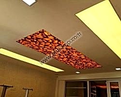 - Diğer Referanslar