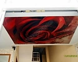 - Diğer Referanslar