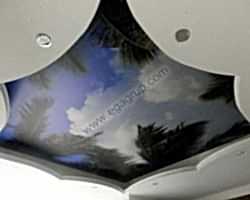 - Diğer Referanslar