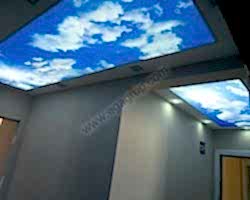 - Diğer Referanslar