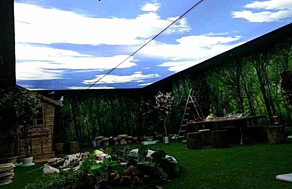 - Diğer Referanslar