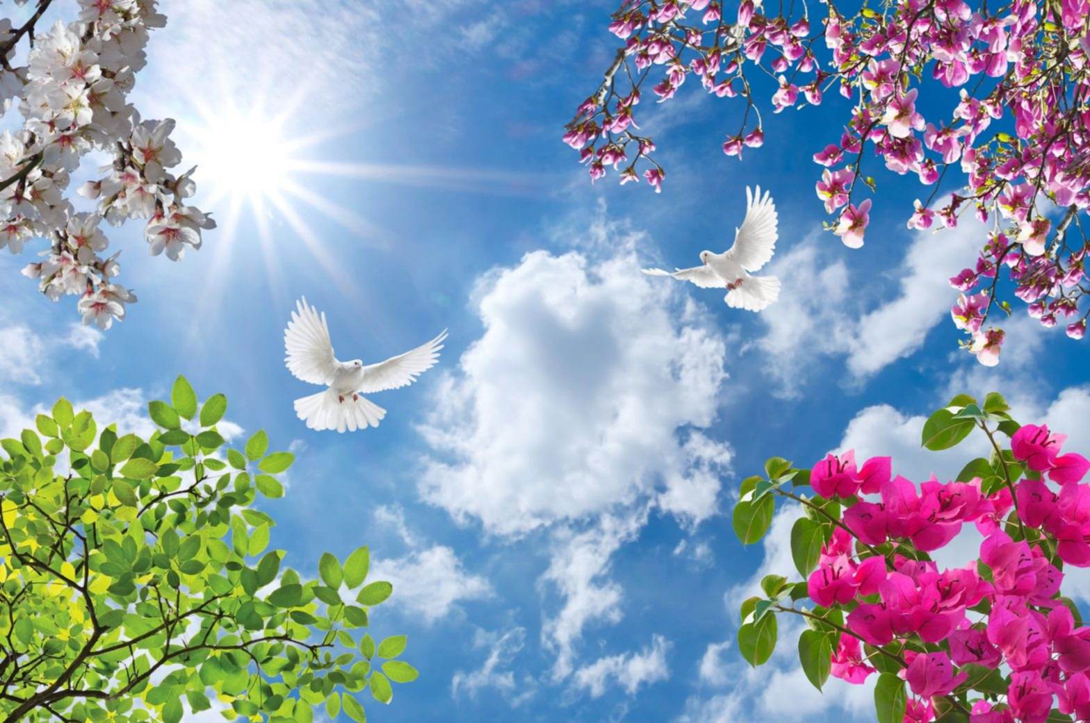 - Diğer Referanslar